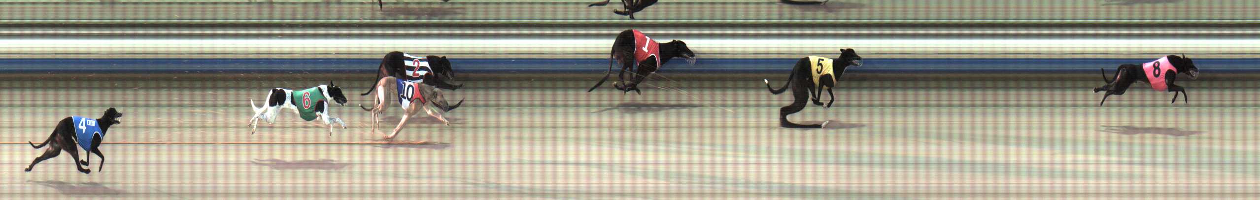 Photo finish for Sale Race 1