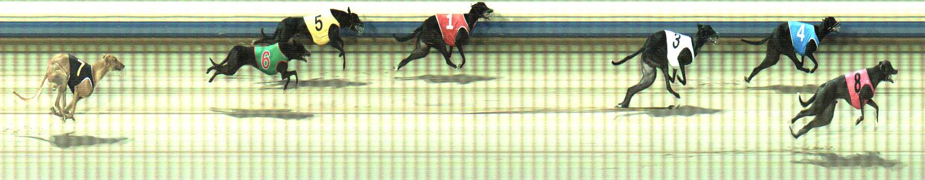 Photo finish for Sale Race 2