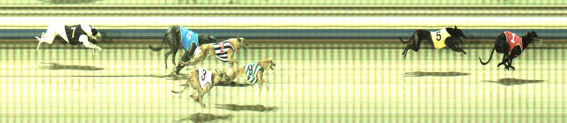 Photo finish for Sale Race 3