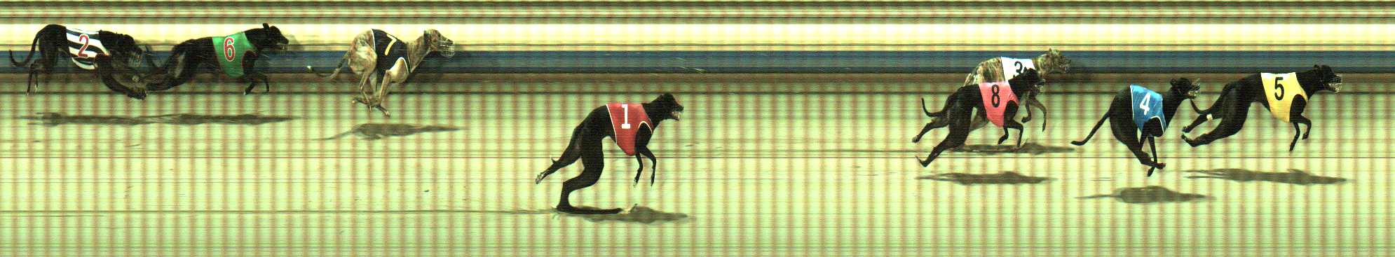 Photo finish for Sale Race 4