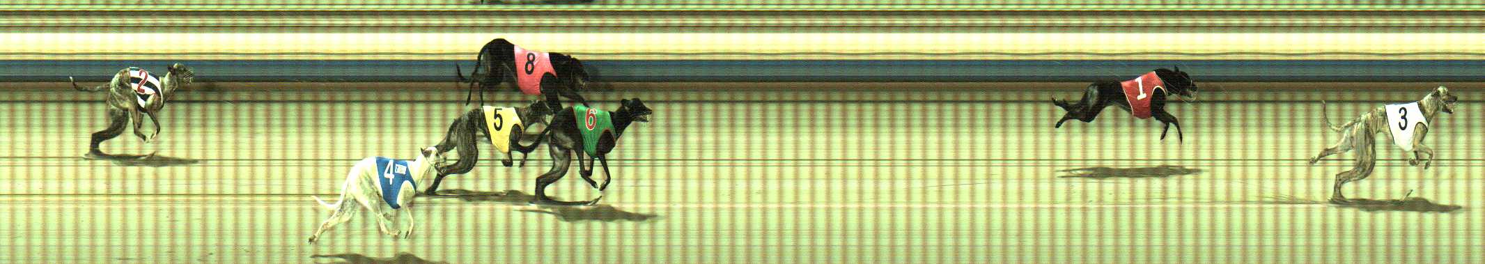 Photo finish for Sale Race 5