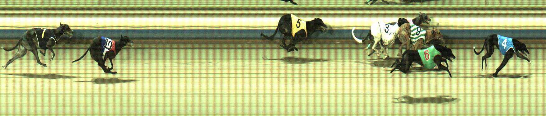 Photo finish for Sale Race 6