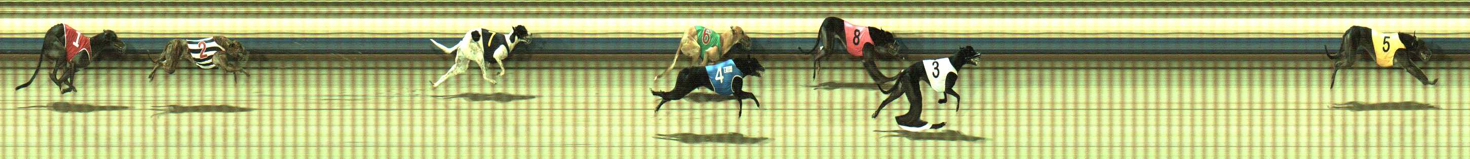 Photo finish for Sale Race 8