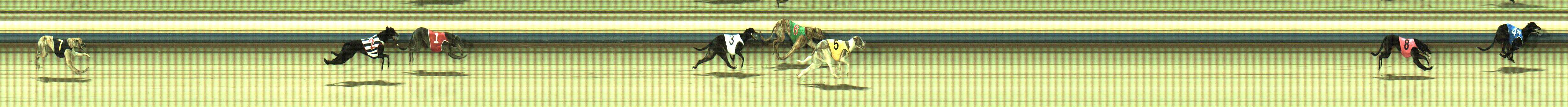 Photo finish for Sale Race 9