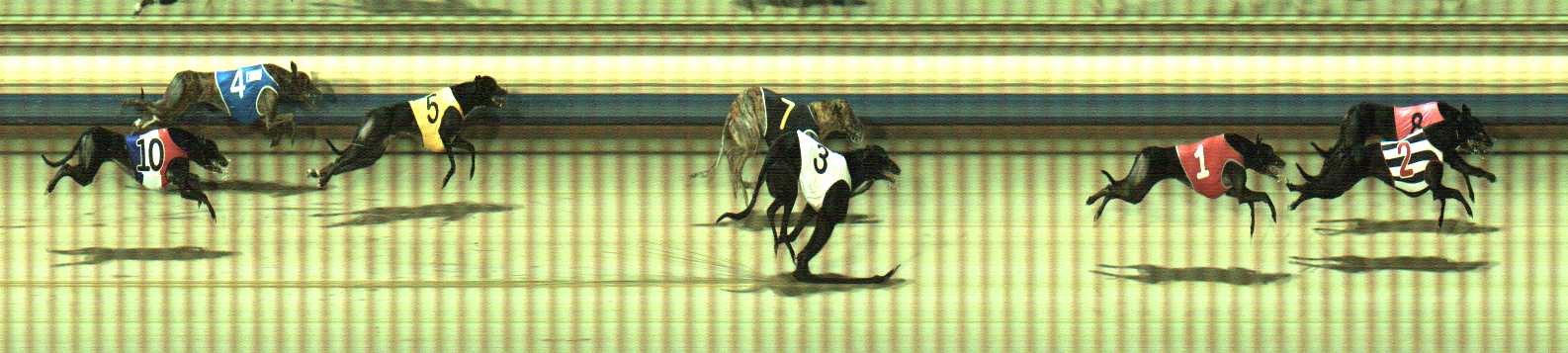 Photo finish for Sale Race 11
