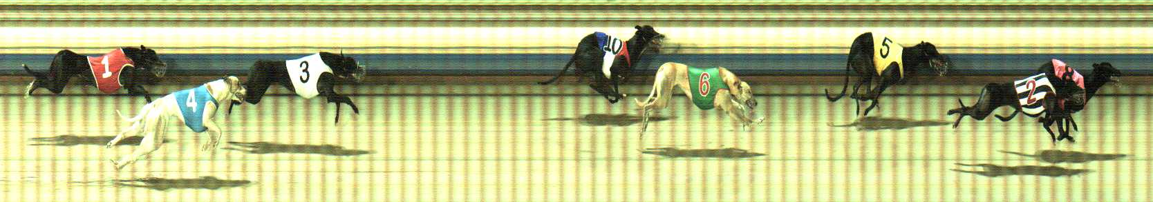 Photo finish for Sale Race 12