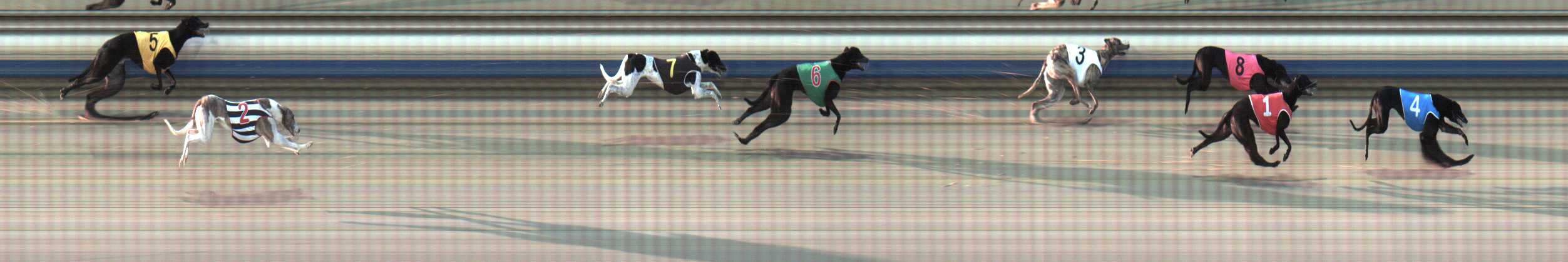 Photo finish for Sale Race 1