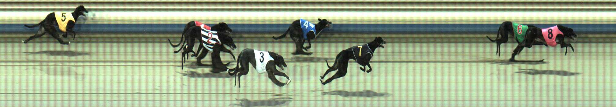 Photo finish for Sale Race 2