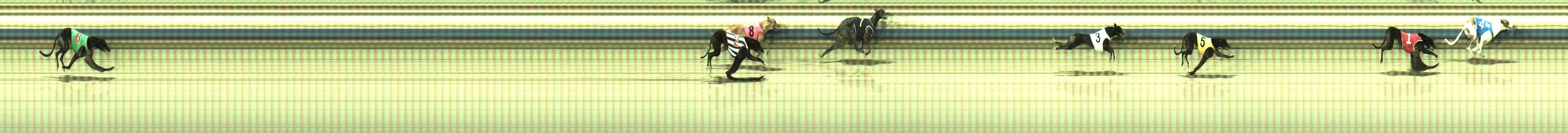 Photo finish for Sale Race 3