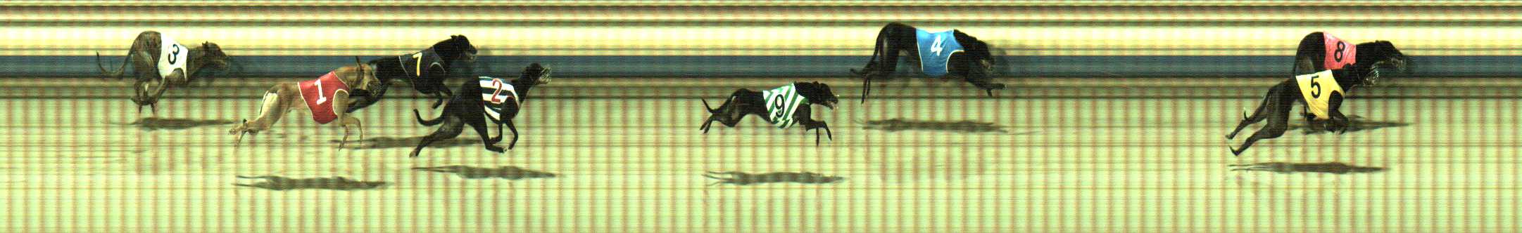 Photo finish for Sale Race 6
