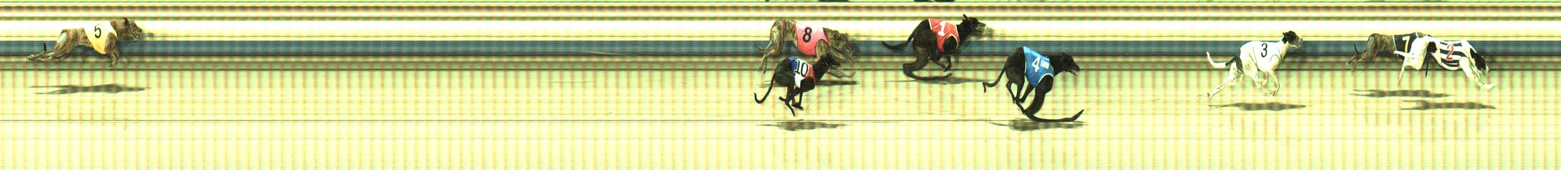 Photo finish for Sale Race 7