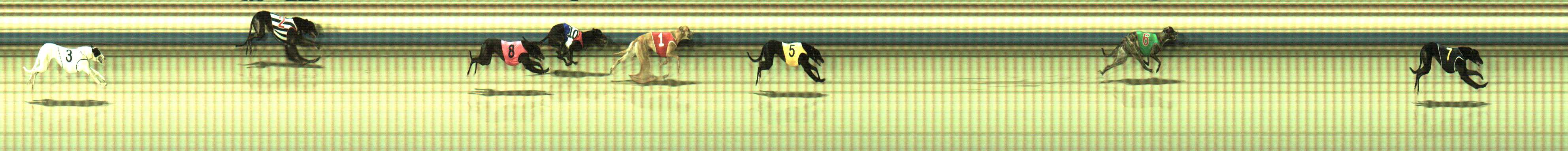 Photo finish for Sale Race 9