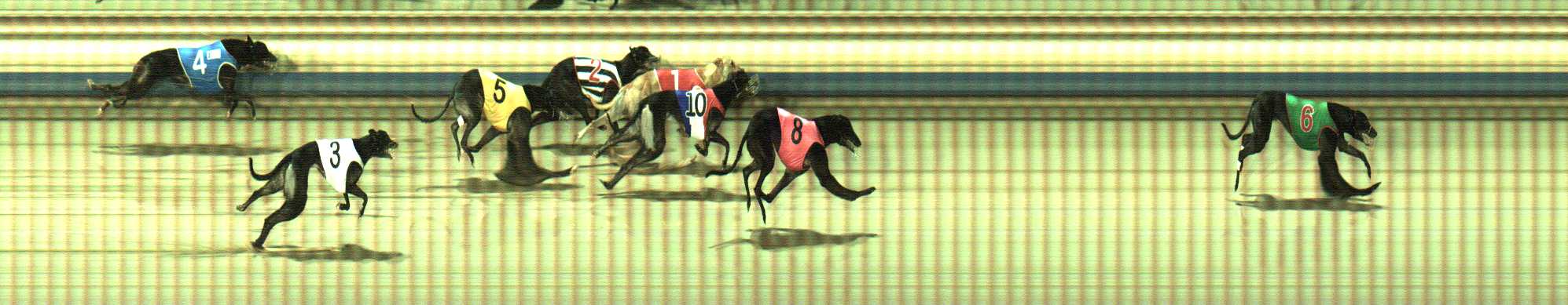 Photo finish for Sale Race 10