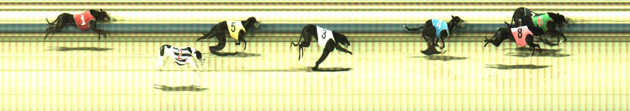 Photo finish for Sale Race 12