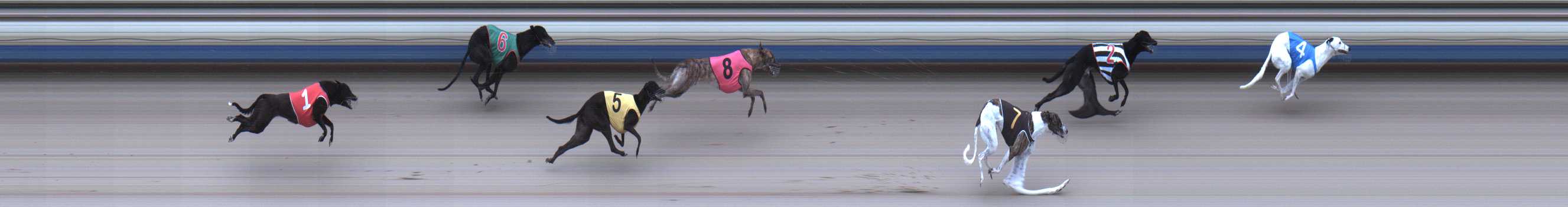 Photo finish for Sale Race 1