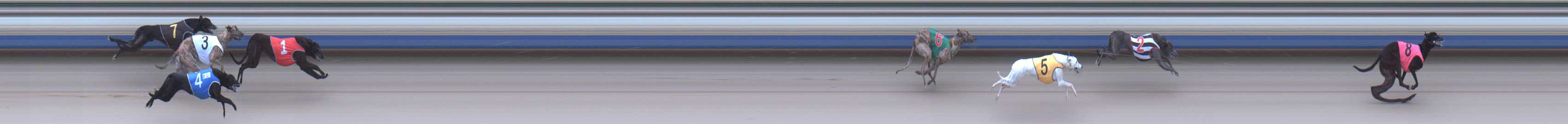 Photo finish for Sale Race 2