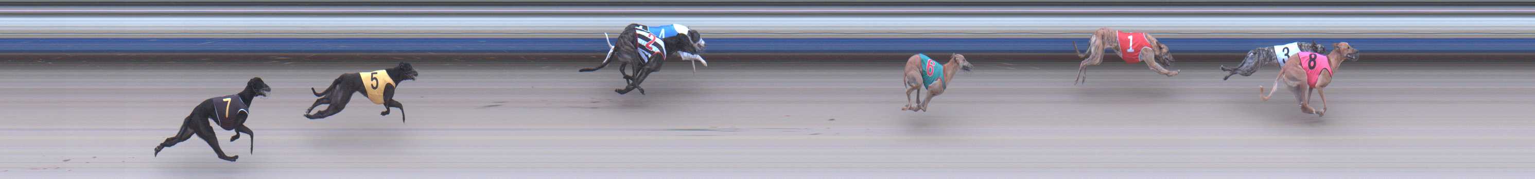 Photo finish for Sale Race 3