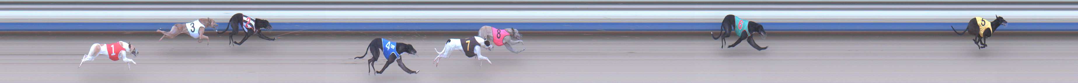 Photo finish for Sale Race 4