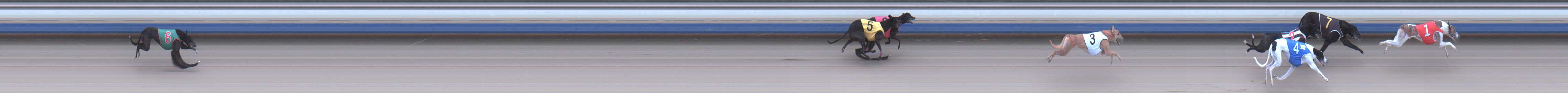 Photo finish for Sale Race 5