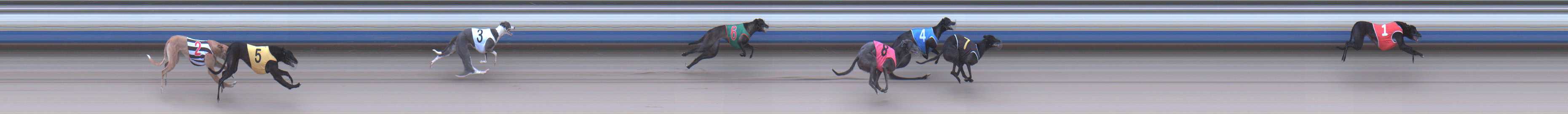 Photo finish for Sale Race 6