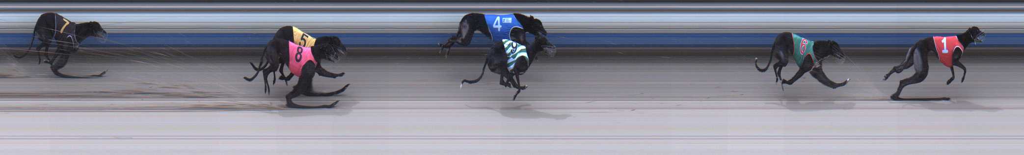 Photo finish for Sale Race 7