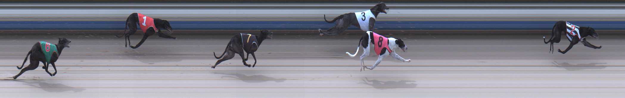 Photo finish for Sale Race 8