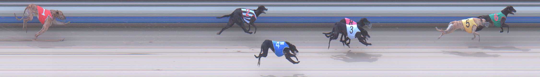 Photo finish for Sale Race 9
