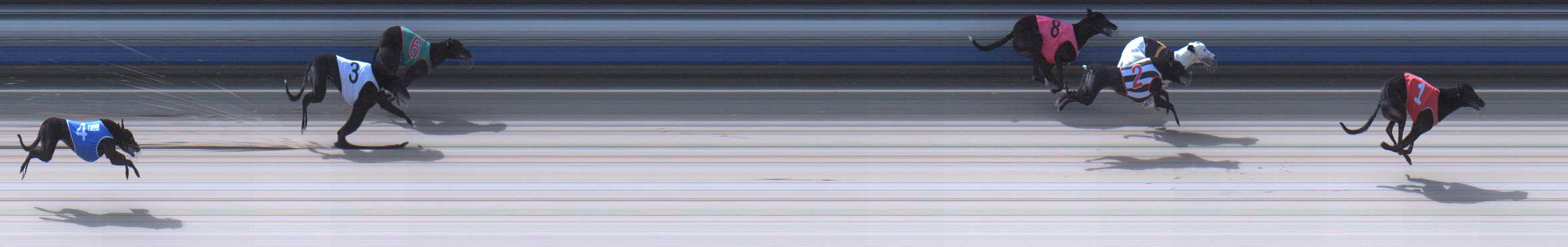 Photo finish for Sale Race 11
