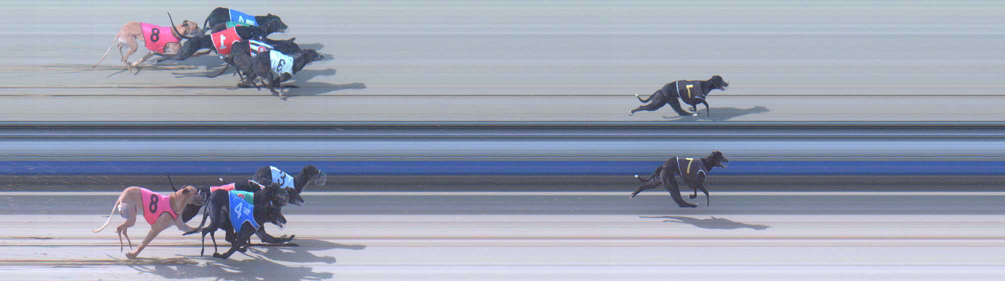 Photo finish for Sale Race 12