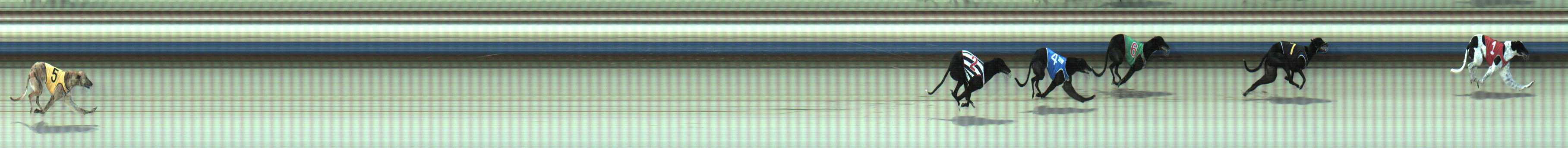 Photo finish for Sale Race 1