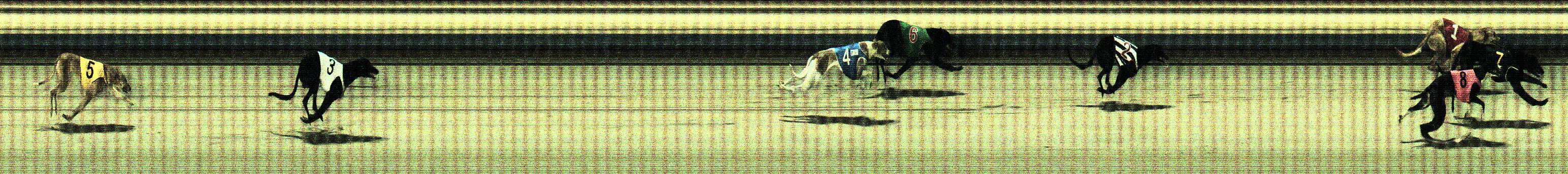 Photo finish for Sale Race 2