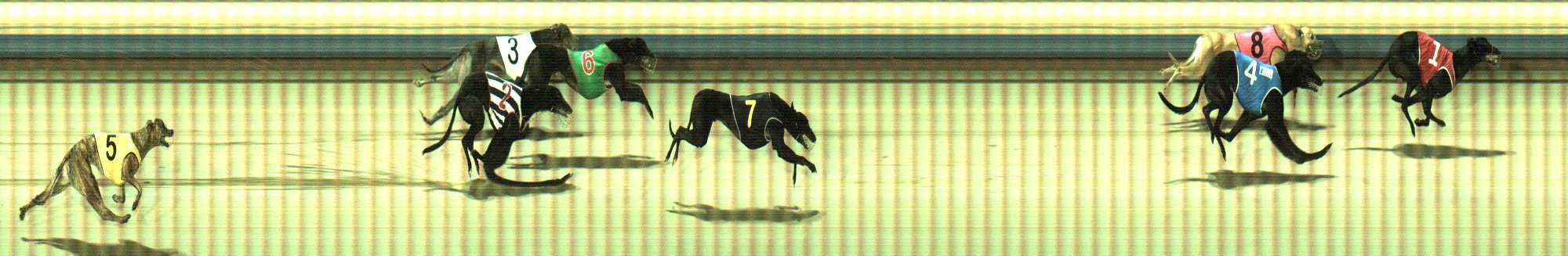 Photo finish for Sale Race 3