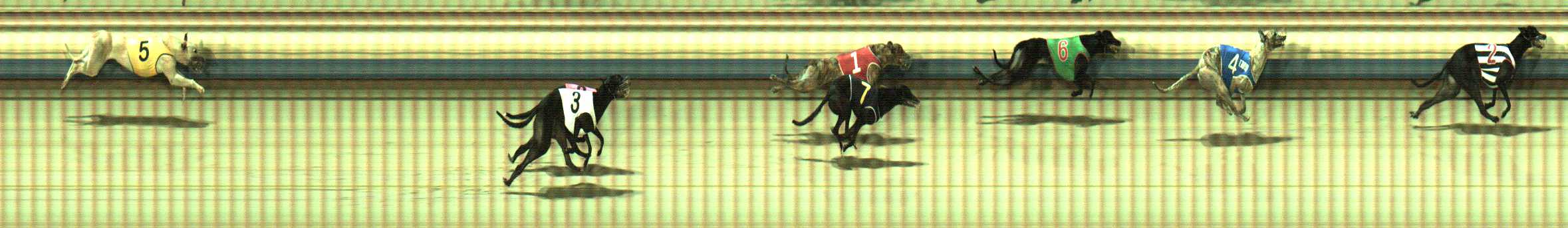 Photo finish for Sale Race 4