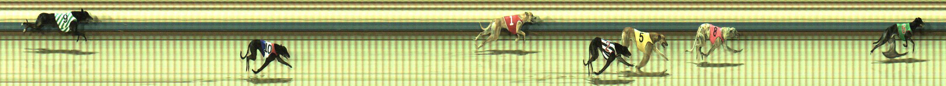 Photo finish for Sale Race 5