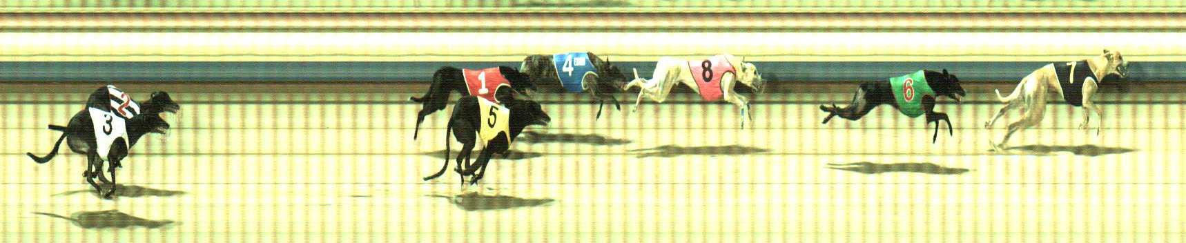 Photo finish for Sale Race 7