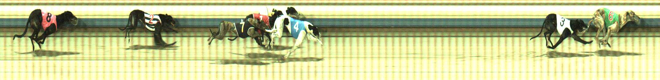 Photo finish for Sale Race 8