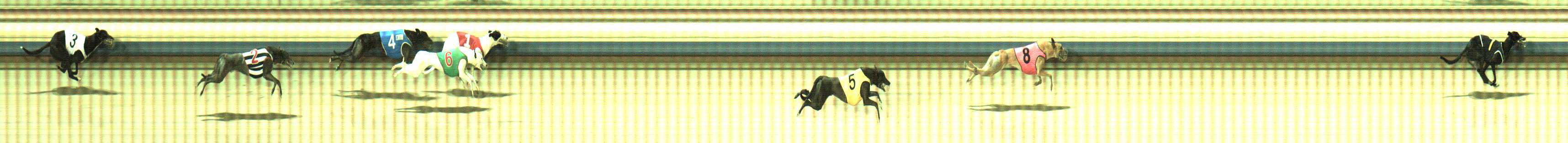 Photo finish for Sale Race 9
