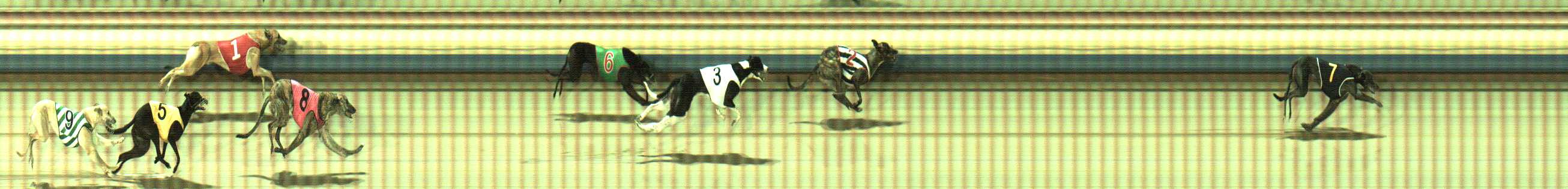 Photo finish for Sale Race 10