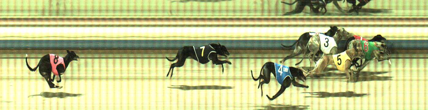 Photo finish for Sale Race 12