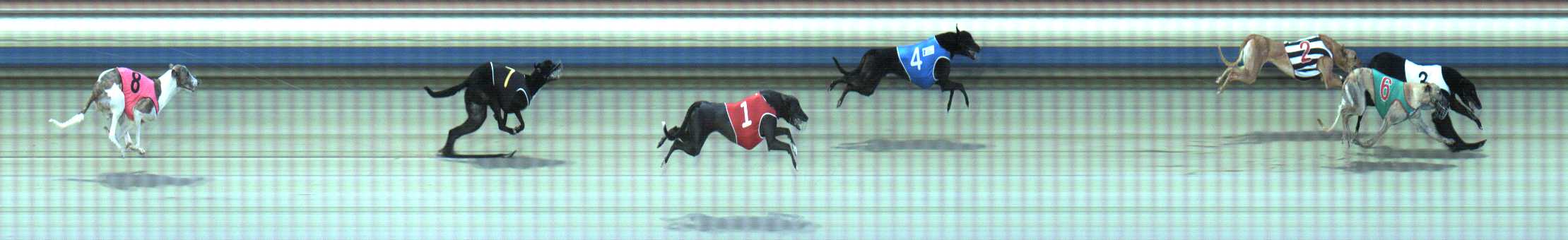 Photo finish for Sale Race 2