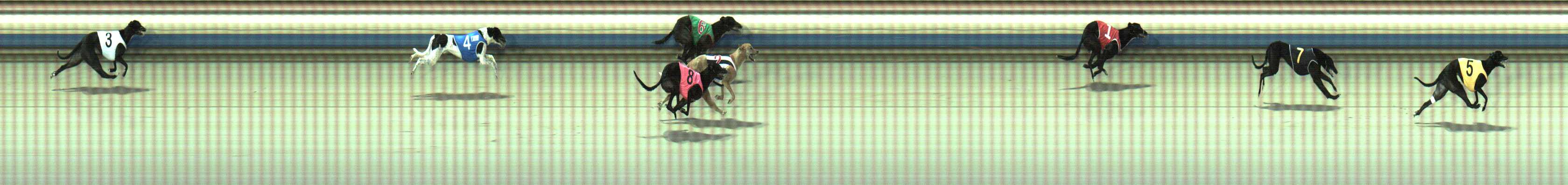 Photo finish for Sale Race 3