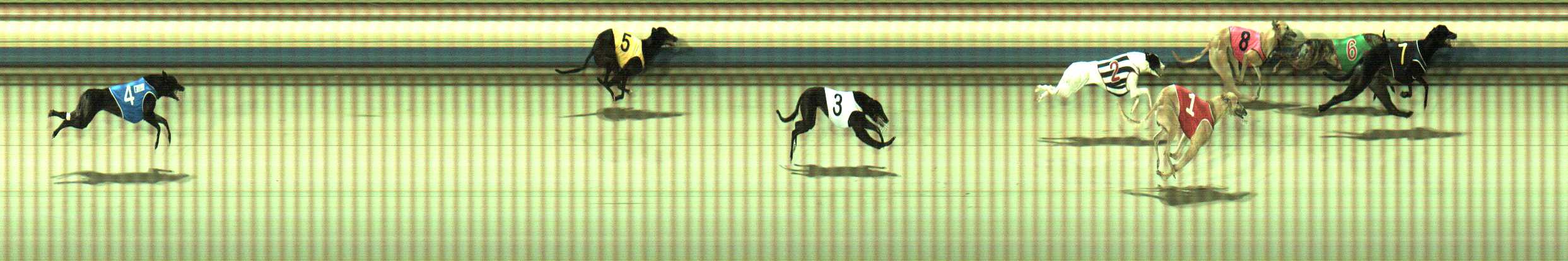 Photo finish for Sale Race 4