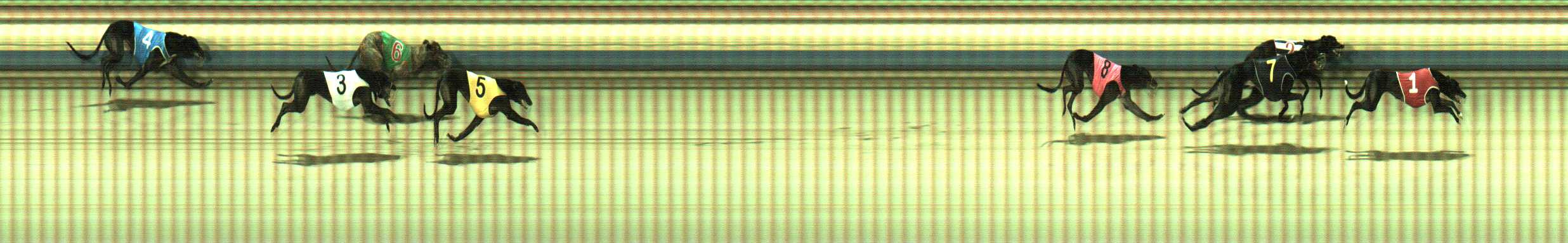 Photo finish for Sale Race 6