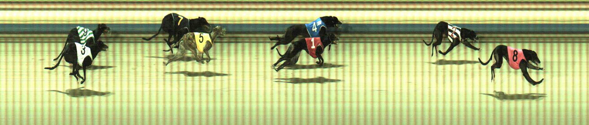 Photo finish for Sale Race 7