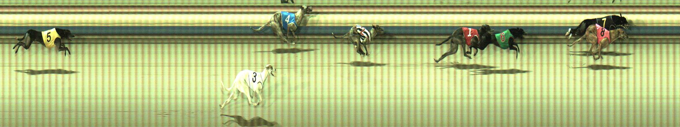 Photo finish for Sale Race 8