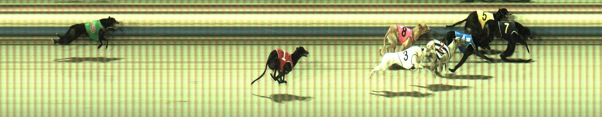 Photo finish for Sale Race 9