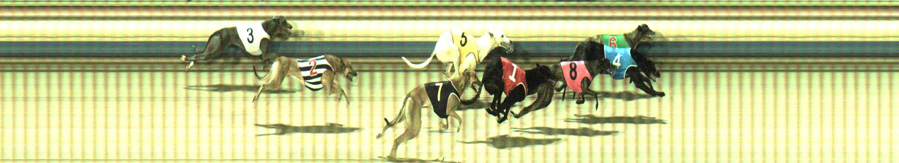 Photo finish for Sale Race 10