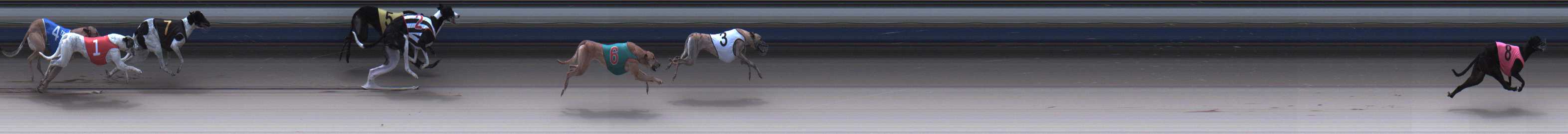 Photo finish for Sale Race 1