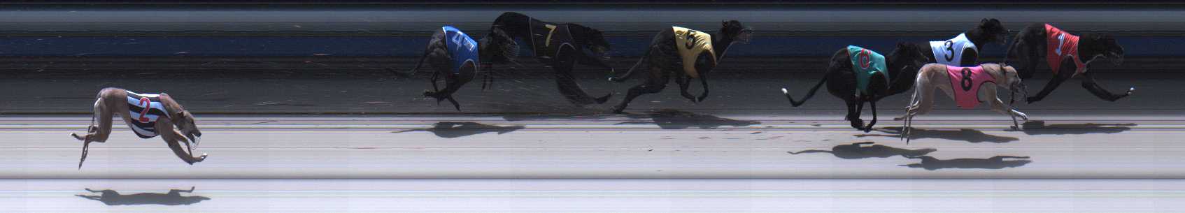 Photo finish for Sale Race 2