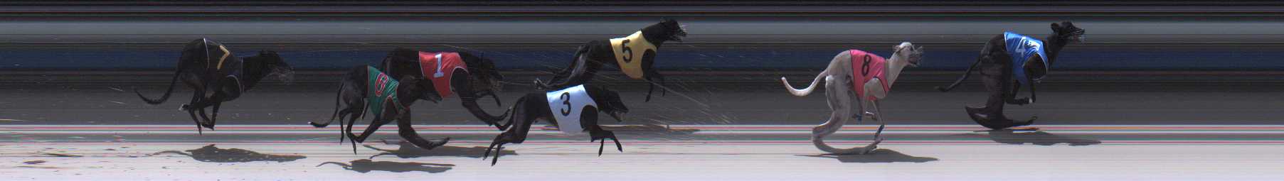 Photo finish for Sale Race 3